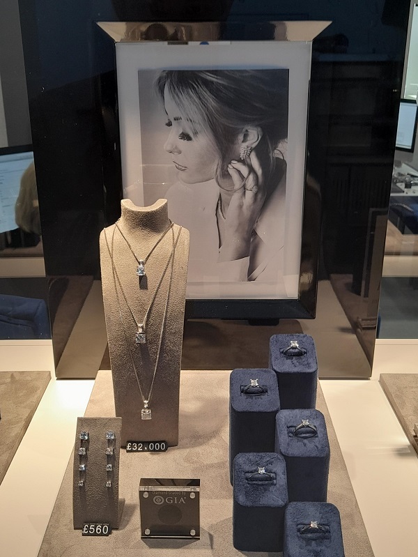 A jewellery shop window display with rings and necklaces.